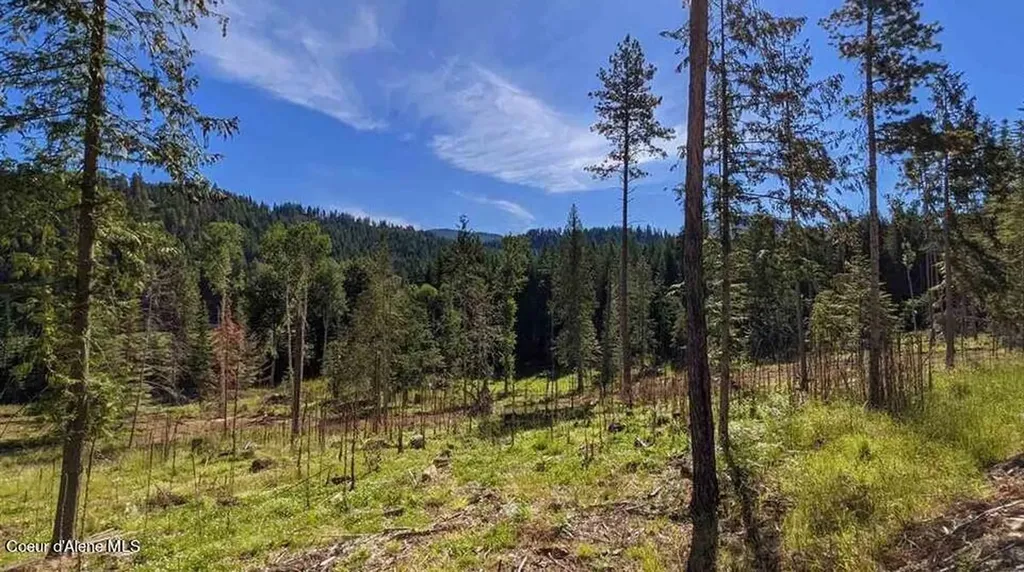 8360 Sunnyside Road Sandpoint ID 83864
