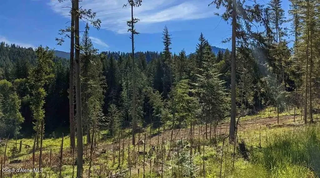 8360 Sunnyside Road Sandpoint ID 83864