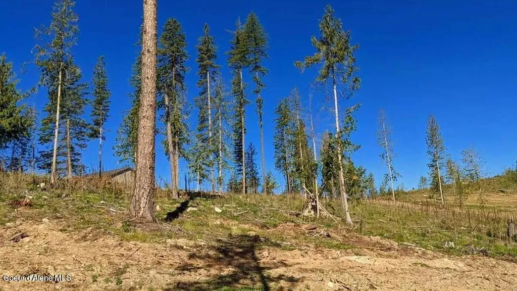 8360 Sunnyside Road Sandpoint ID 83864