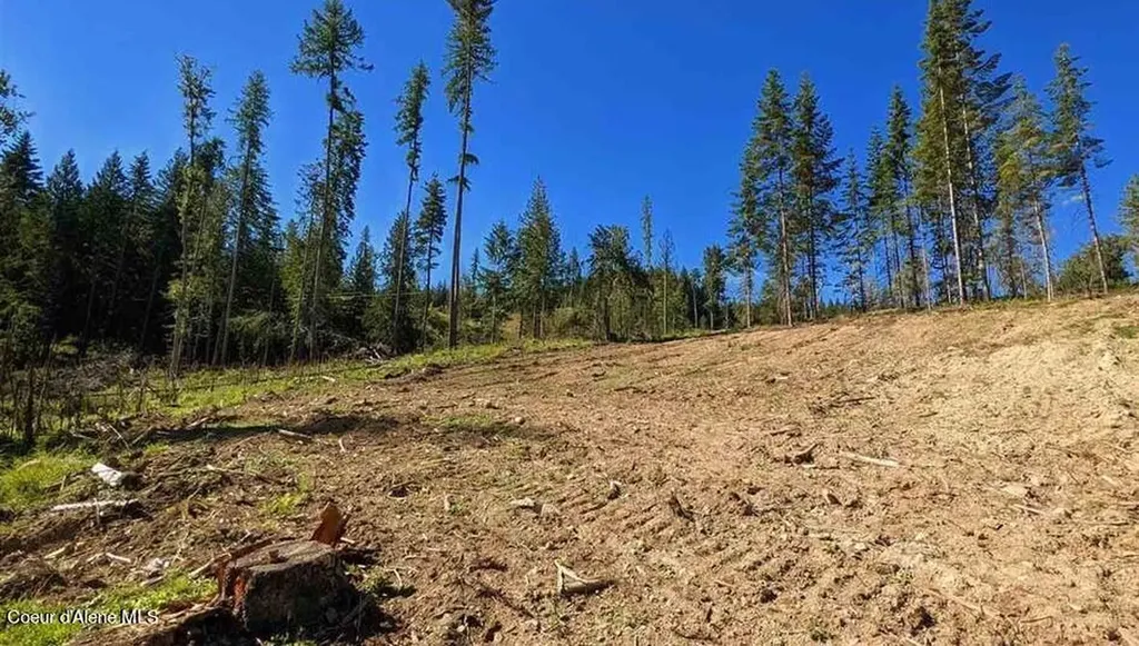 8360 Sunnyside Road Sandpoint ID 83864