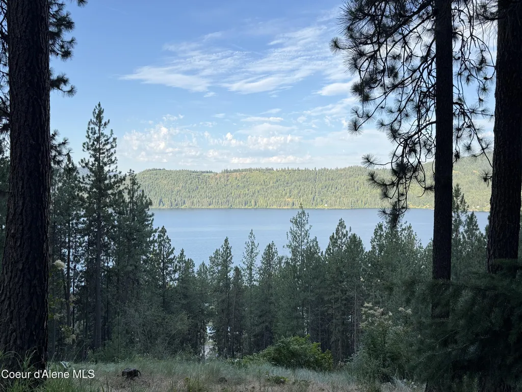 2396 E Crows Nest Road Harrison ID 83833