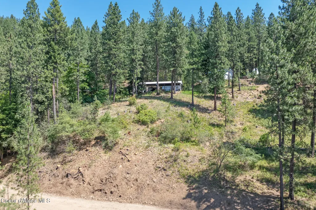 2396 E Crows Nest Road Harrison ID 83833