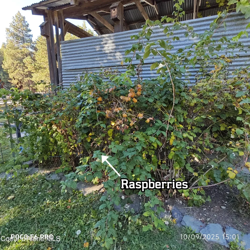 55 Trotter Lane Sandpoint ID 83864