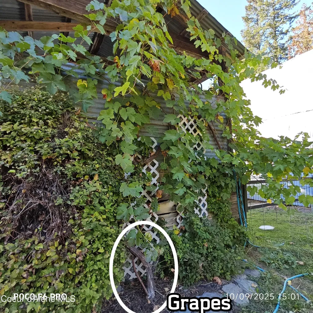 55 Trotter Lane Sandpoint ID 83864