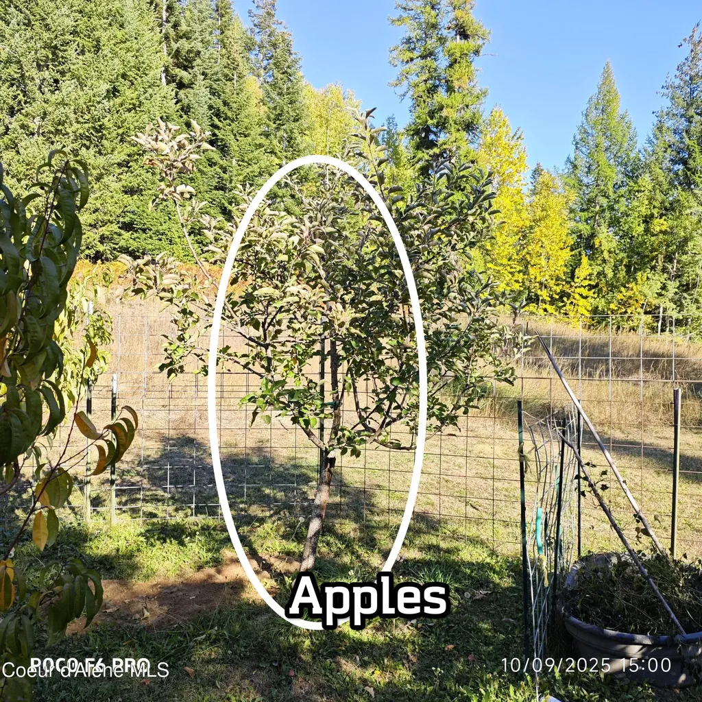 55 Trotter Lane Sandpoint ID 83864