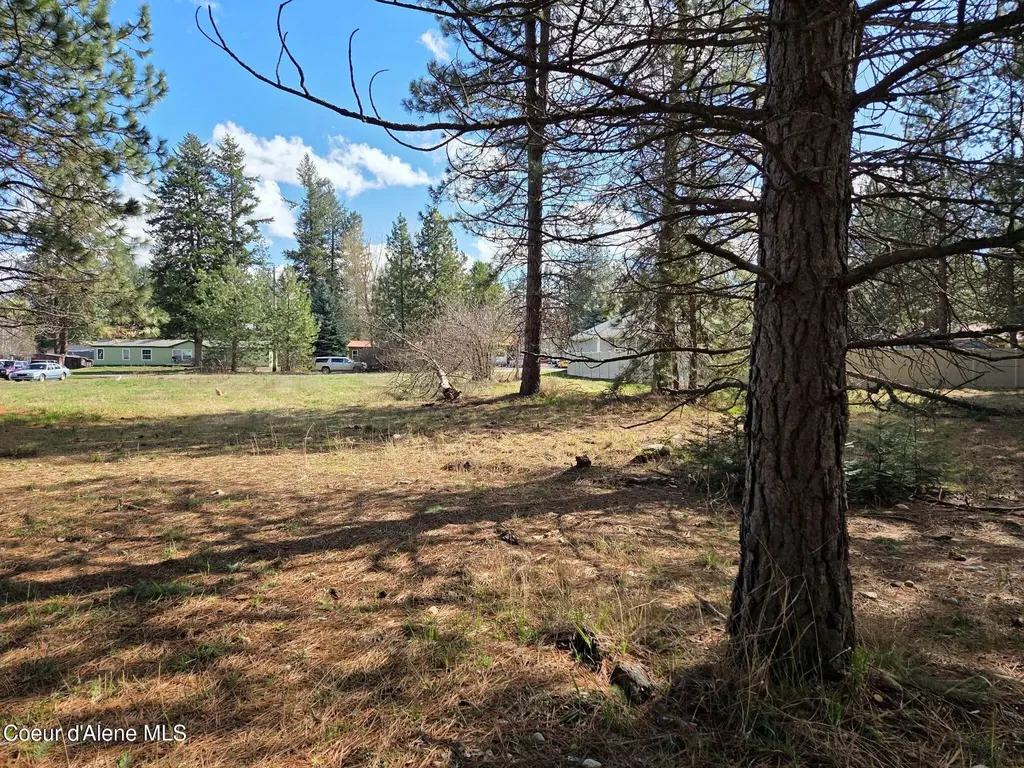 Nna 9th Street Spirit Lake ID 83869