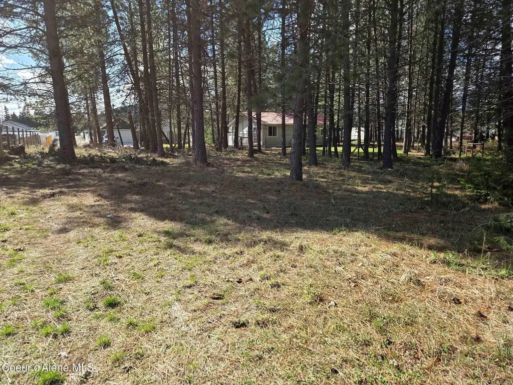 Nna 9th Street Spirit Lake ID 83869