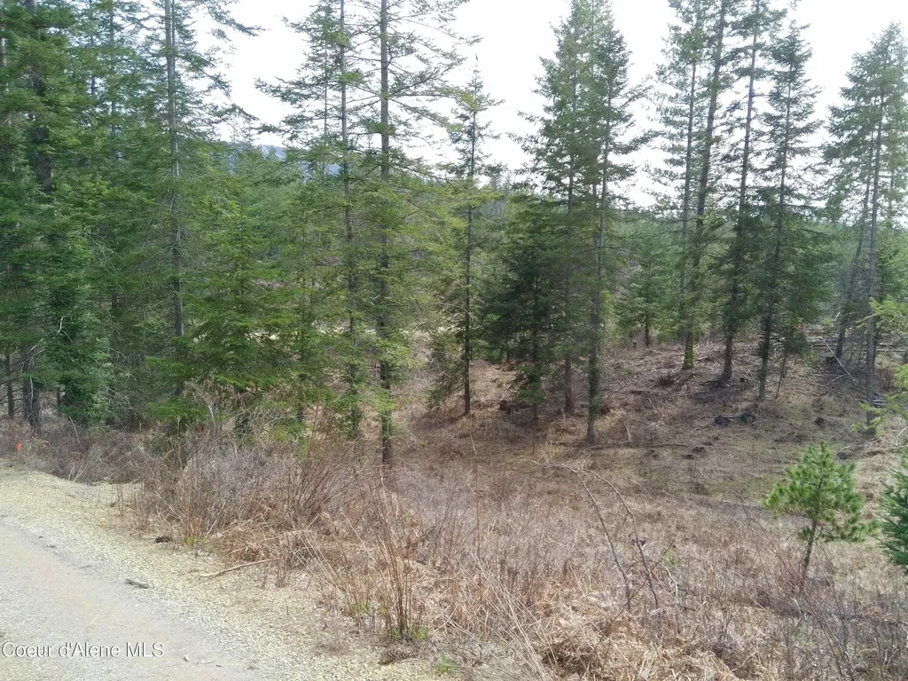 Lot 4 Pioneer Lane Priest River ID 83856
