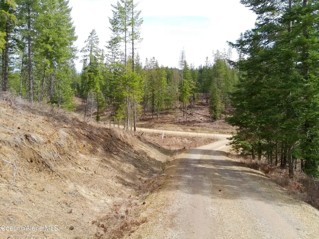 Lot 4 Pioneer Lane Priest River ID 83856