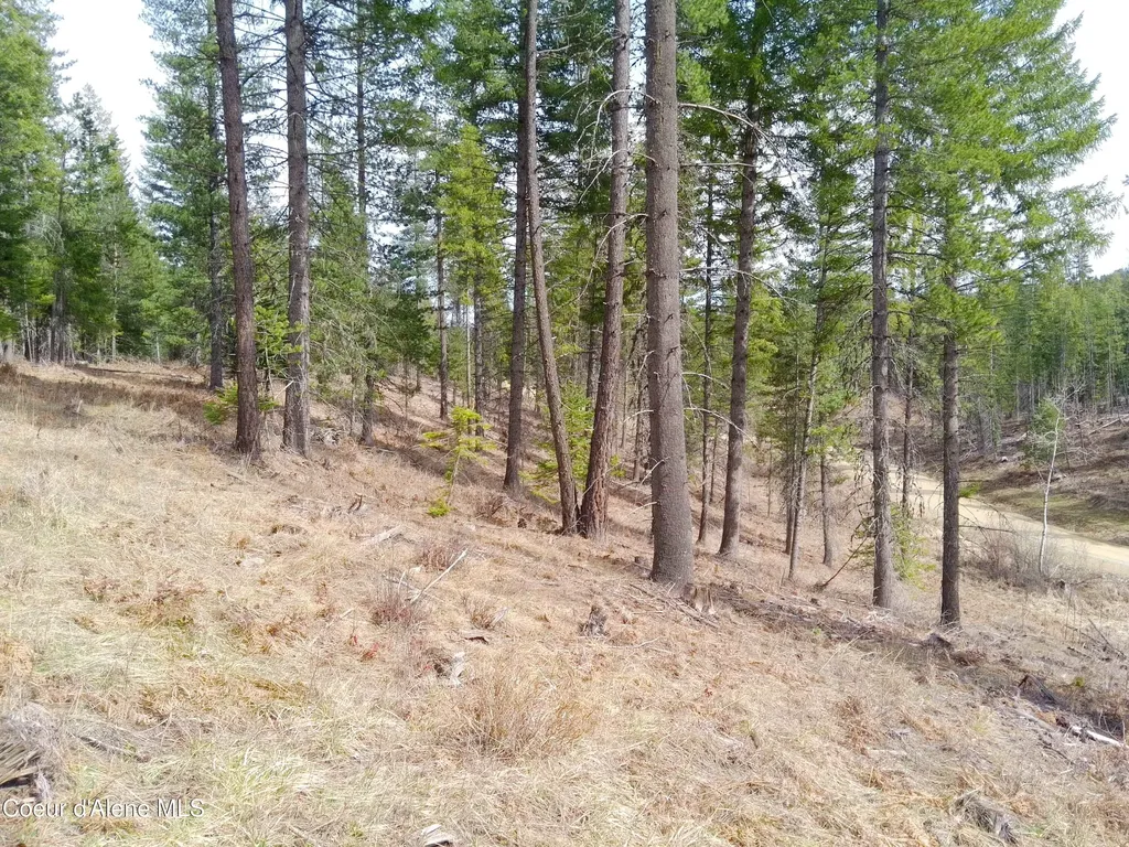 Lot 4 Pioneer Lane Priest River ID 83856