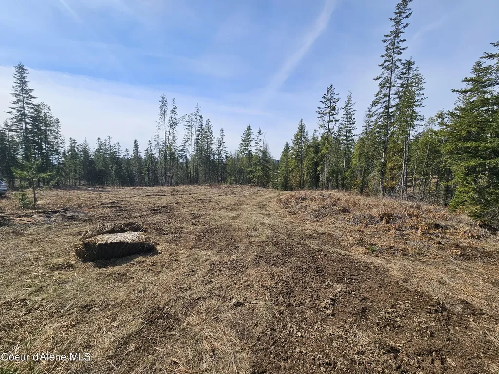 Lot 4 Pioneer Lane Priest River ID 83856