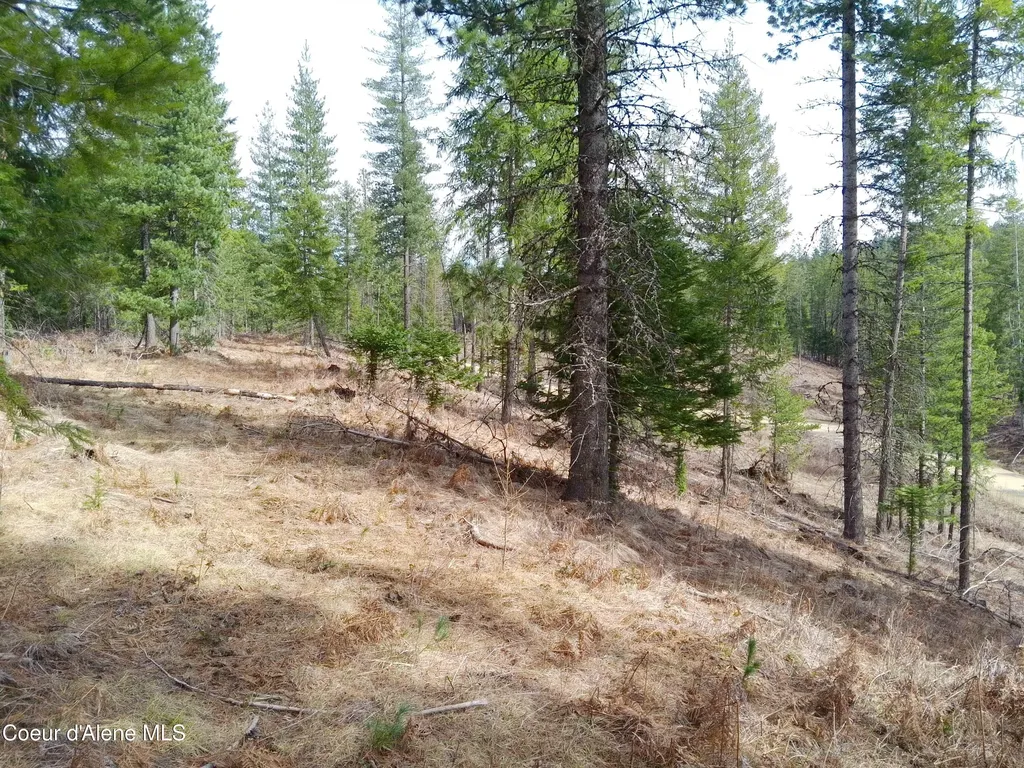 Lot 4 Pioneer Lane Priest River ID 83856