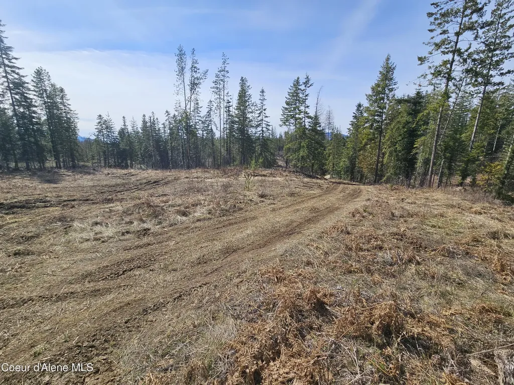 Lot 4 Pioneer Lane Priest River ID 83856