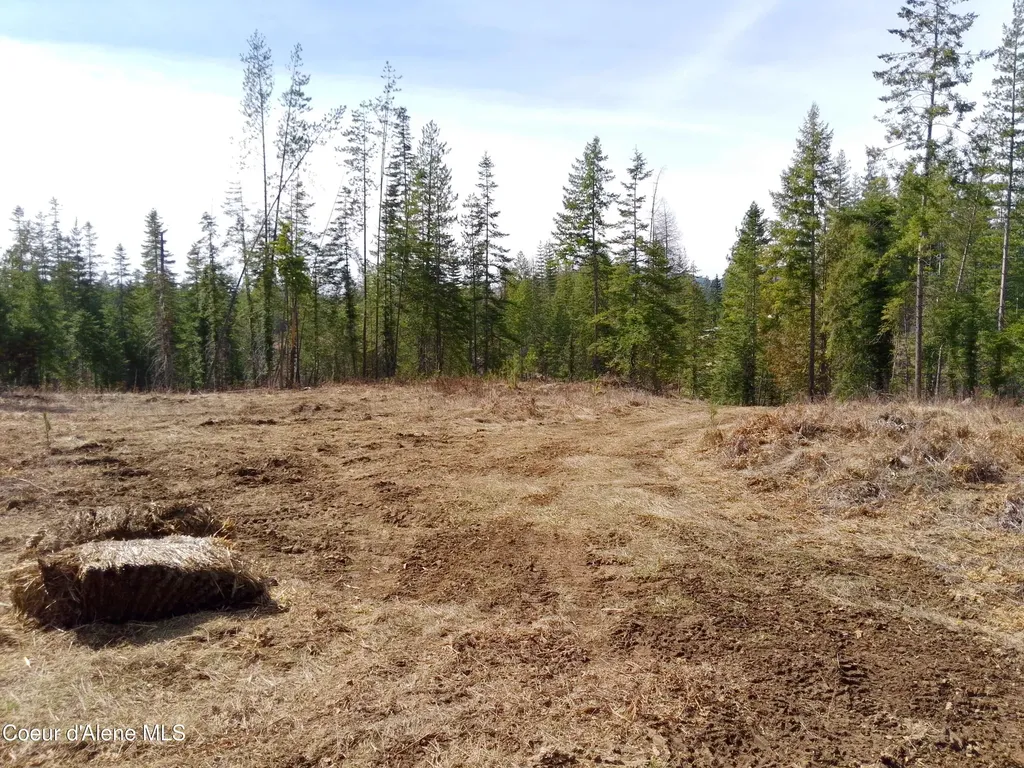 Lot 4 Pioneer Lane Priest River ID 83856