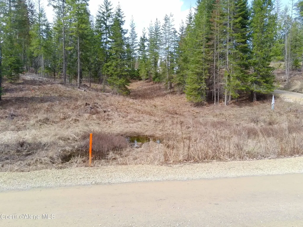 Lot 4 Pioneer Lane Priest River ID 83856