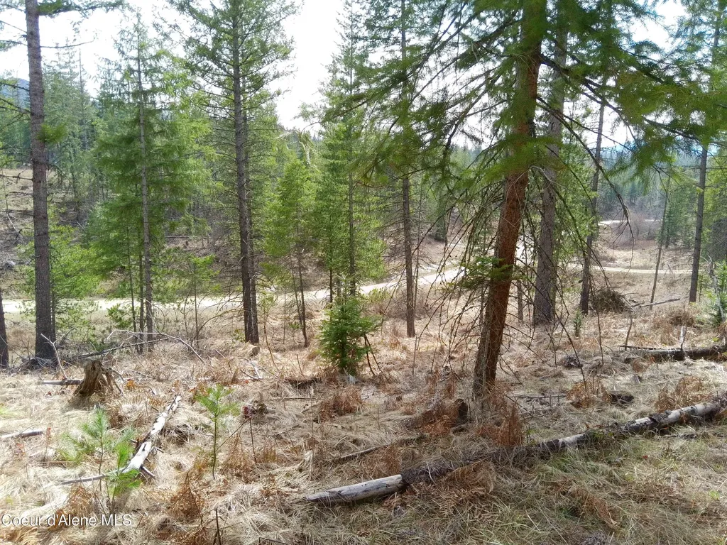 Lot 4 Pioneer Lane Priest River ID 83856
