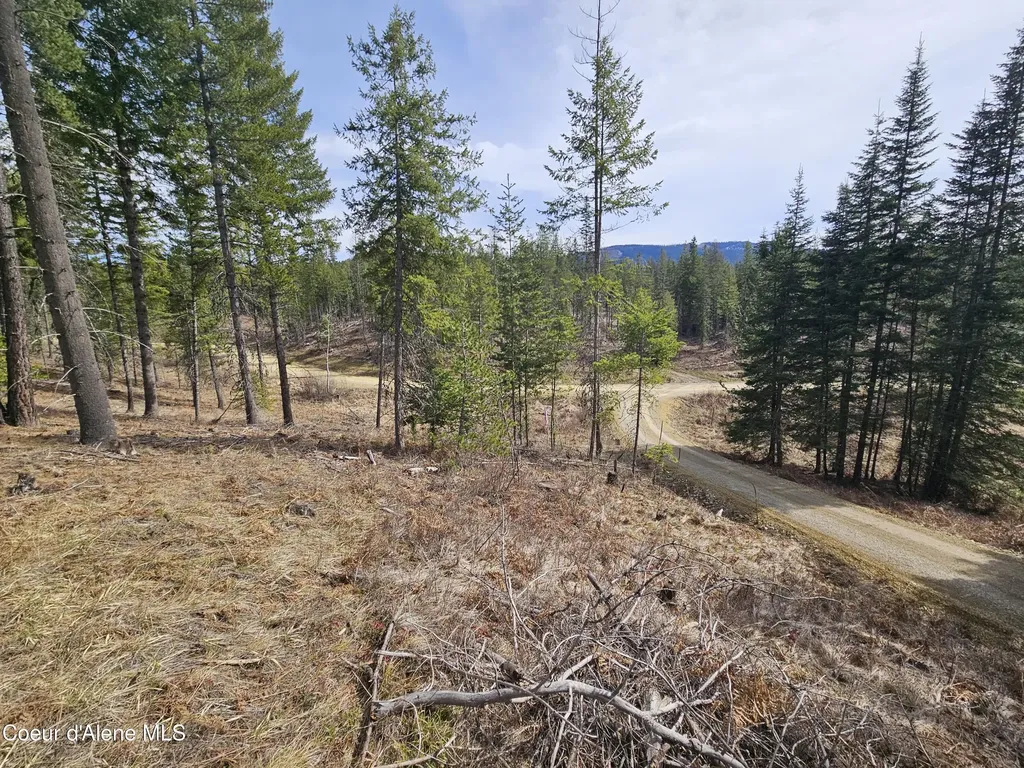 Lot 4 Pioneer Lane Priest River ID 83856