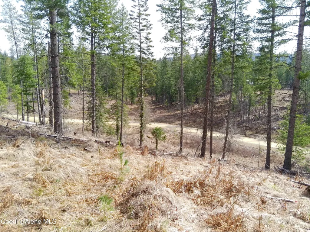 Lot 4 Pioneer Lane Priest River ID 83856