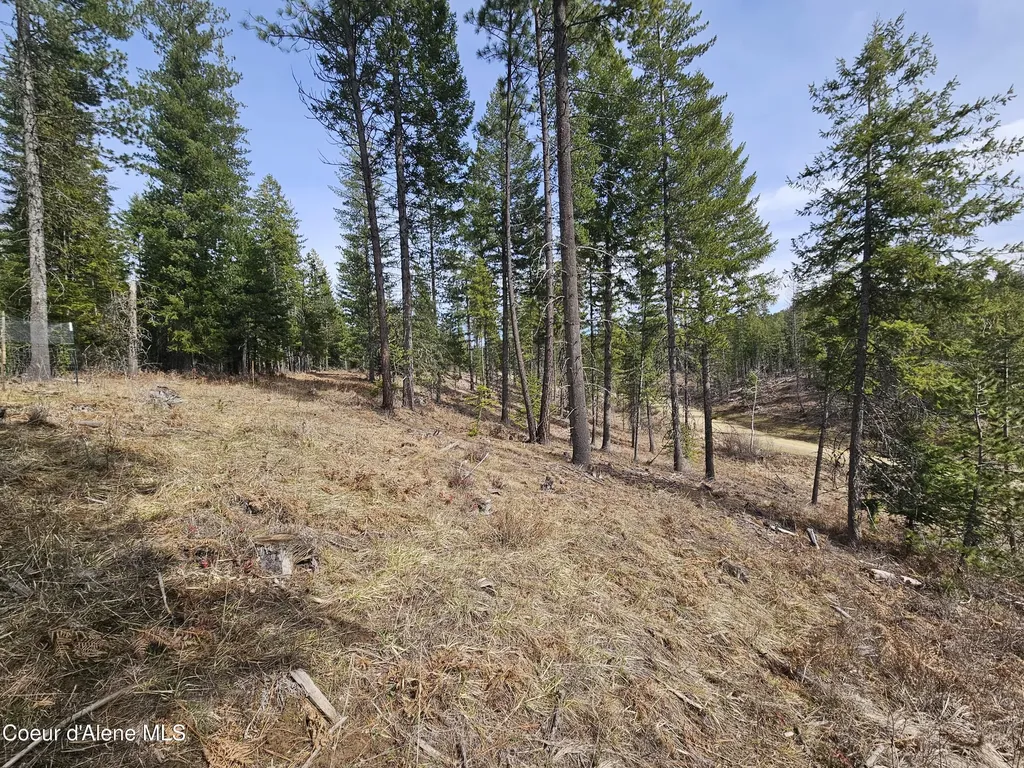 Lot 4 Pioneer Lane Priest River ID 83856