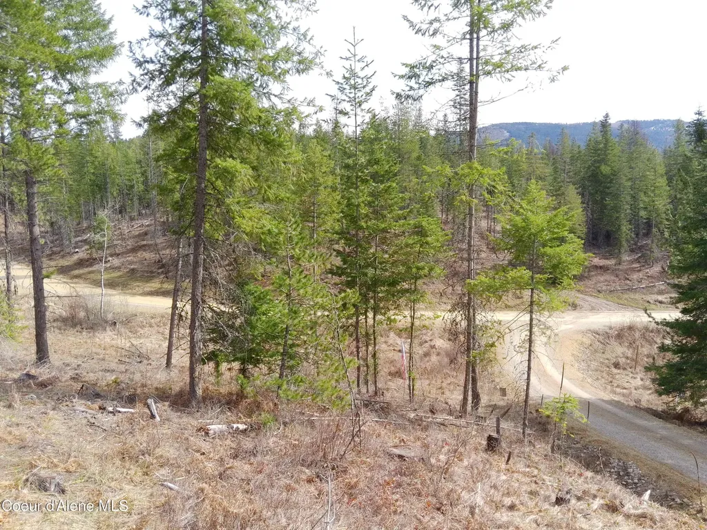Lot 4 Pioneer Lane Priest River ID 83856