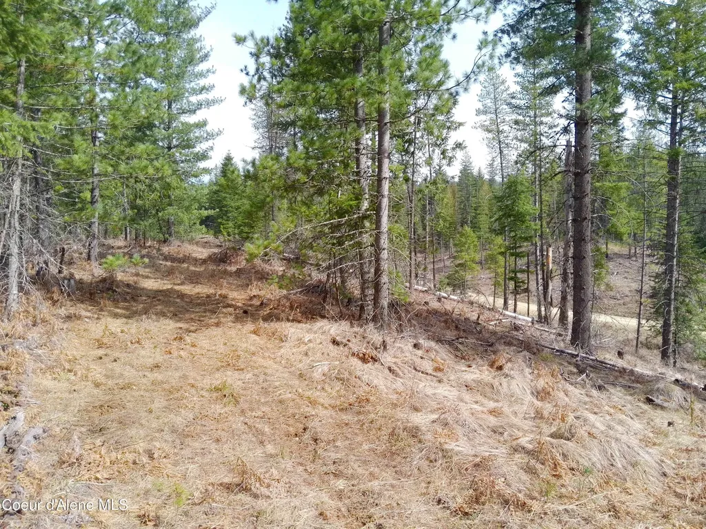 Lot 4 Pioneer Lane Priest River ID 83856