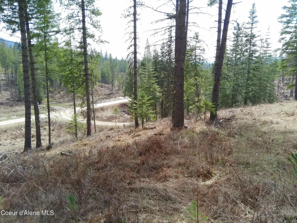Lot 4 Pioneer Lane Priest River ID 83856