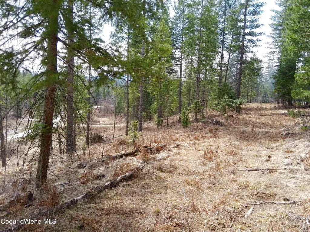 Lot 4 Pioneer Lane Priest River ID 83856