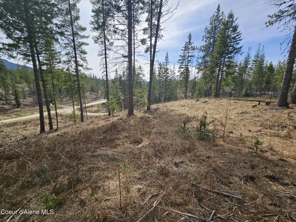 Lot 4 Pioneer Lane Priest River ID 83856