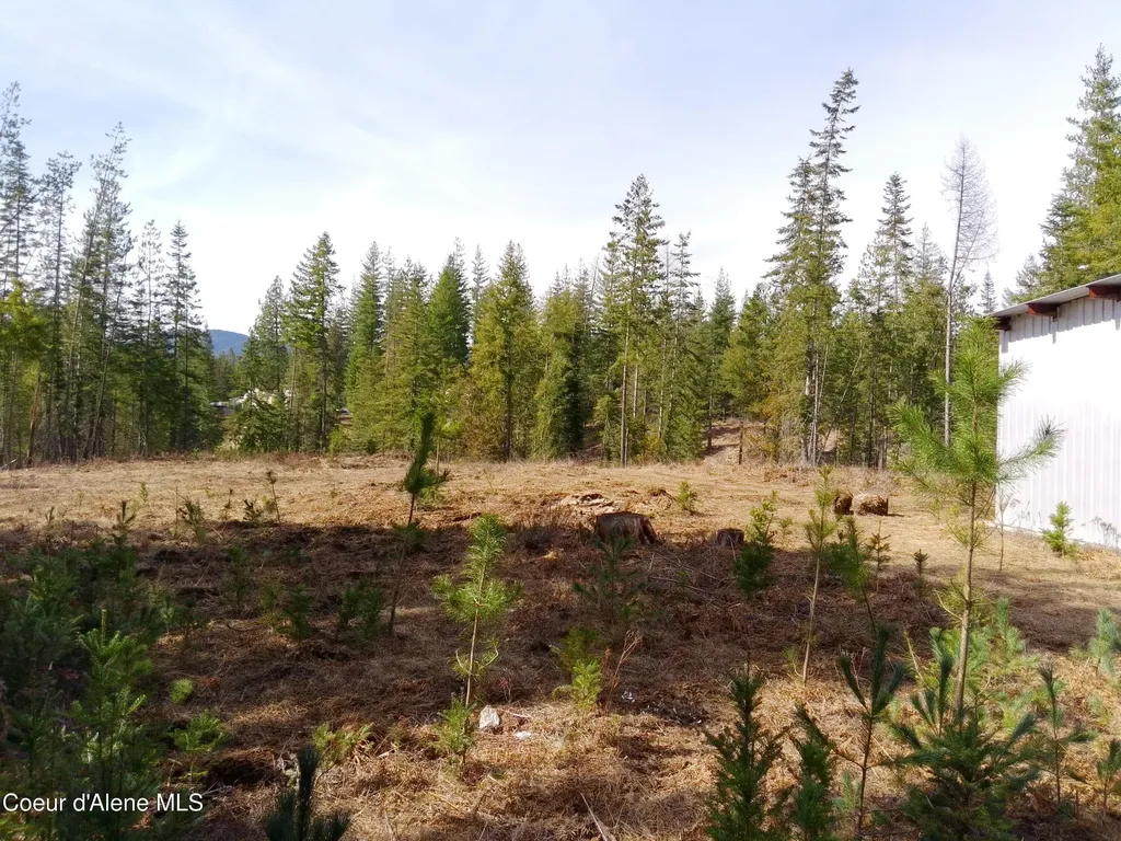 Lot 4 Pioneer Lane Priest River ID 83856