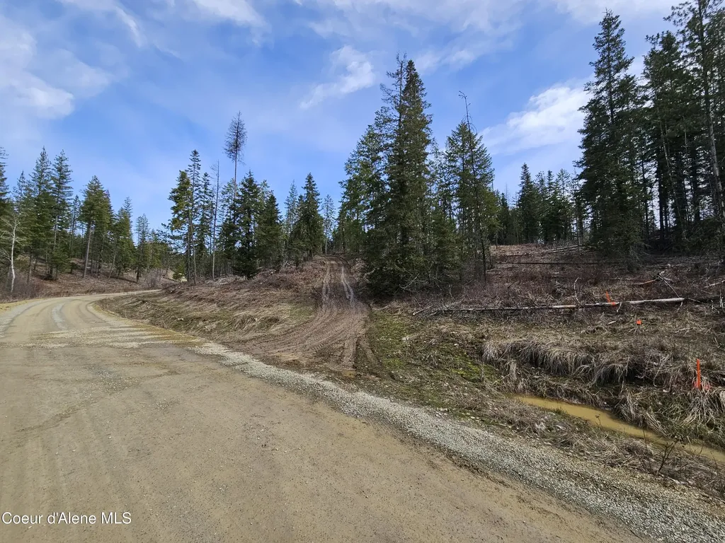 Lot 4 Pioneer Lane Priest River ID 83856