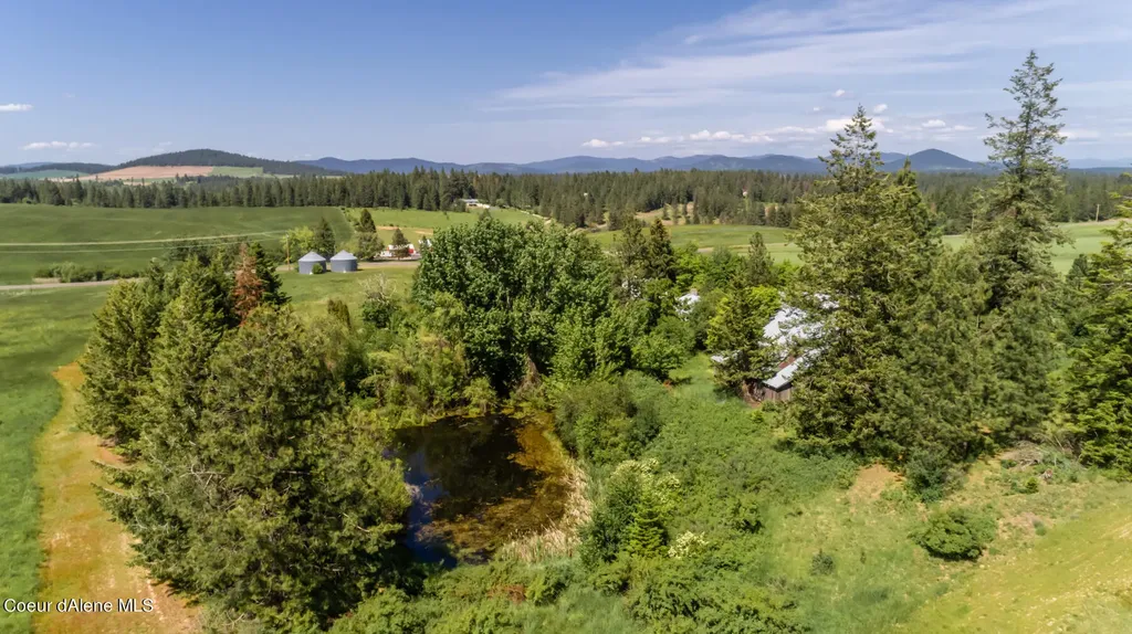 Nna W Conkling Road 20 Acres Worley ID 83876