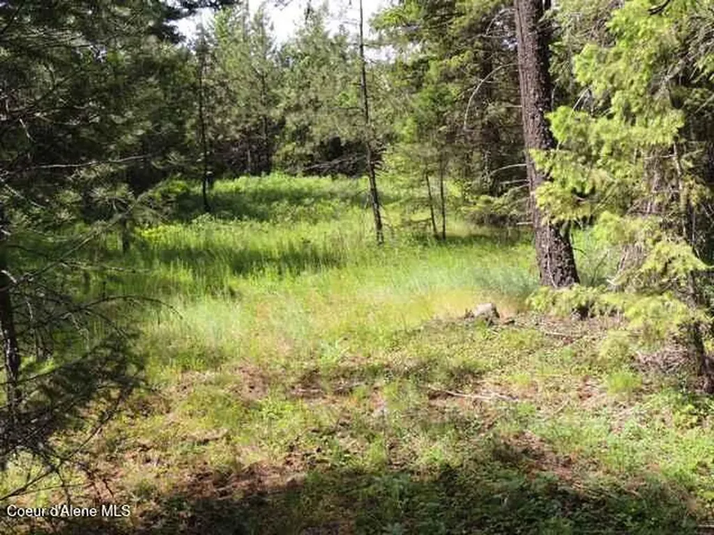 Nka Antler Lane Spirit Lake ID 83869