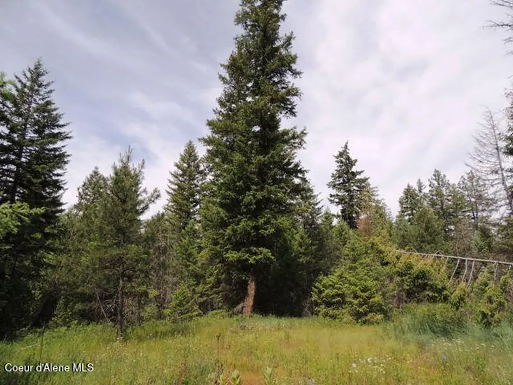 Nka Antler Lane Spirit Lake ID 83869