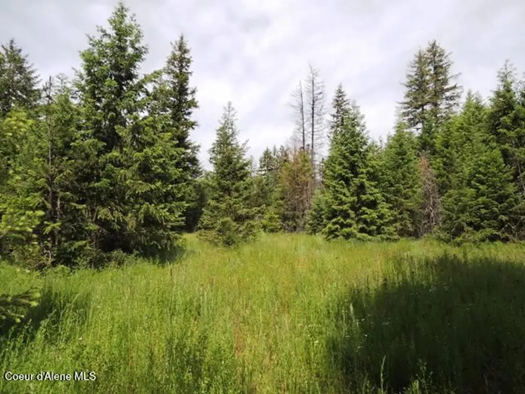 Nka Antler Lane Spirit Lake ID 83869
