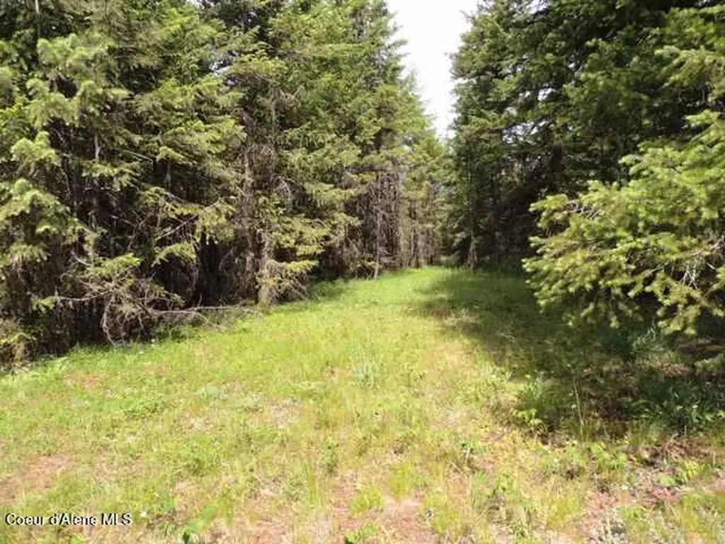 Nka Antler Lane Spirit Lake ID 83869