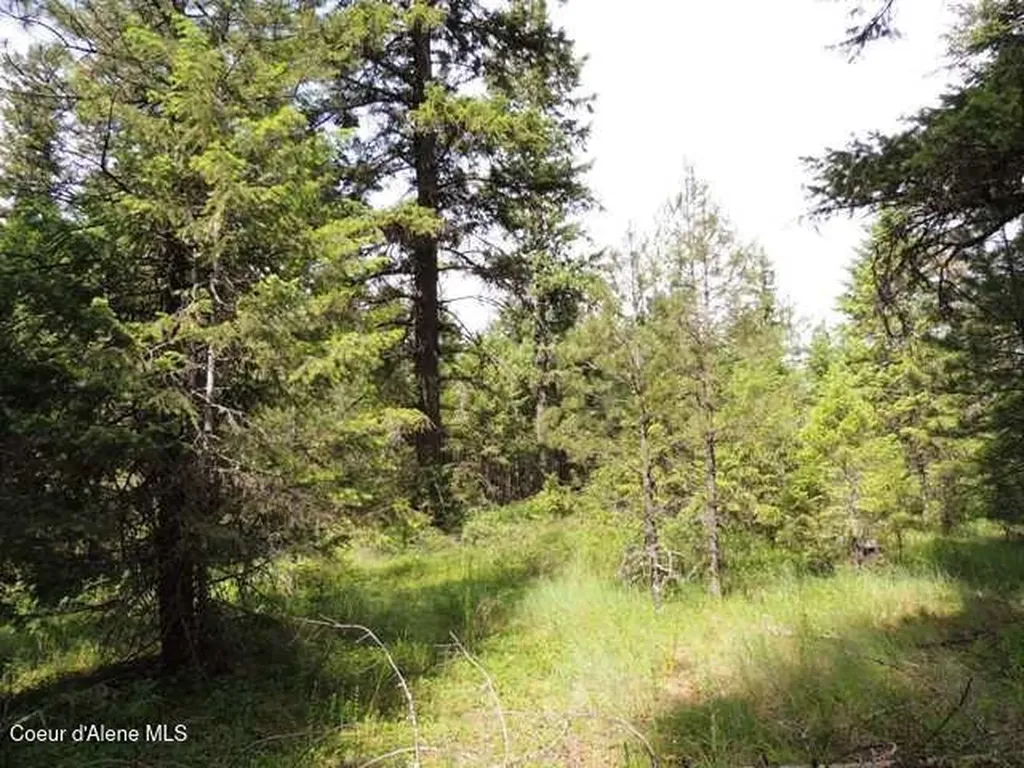 Nka Antler Lane Spirit Lake ID 83869