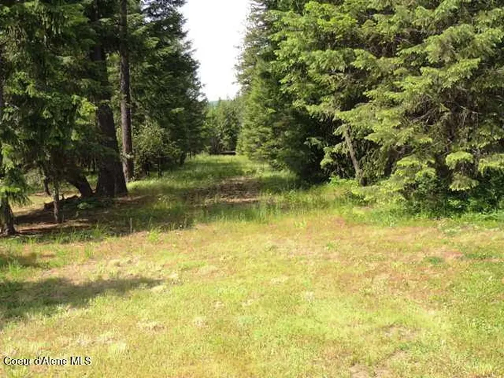 Nka Antler Lane Spirit Lake ID 83869