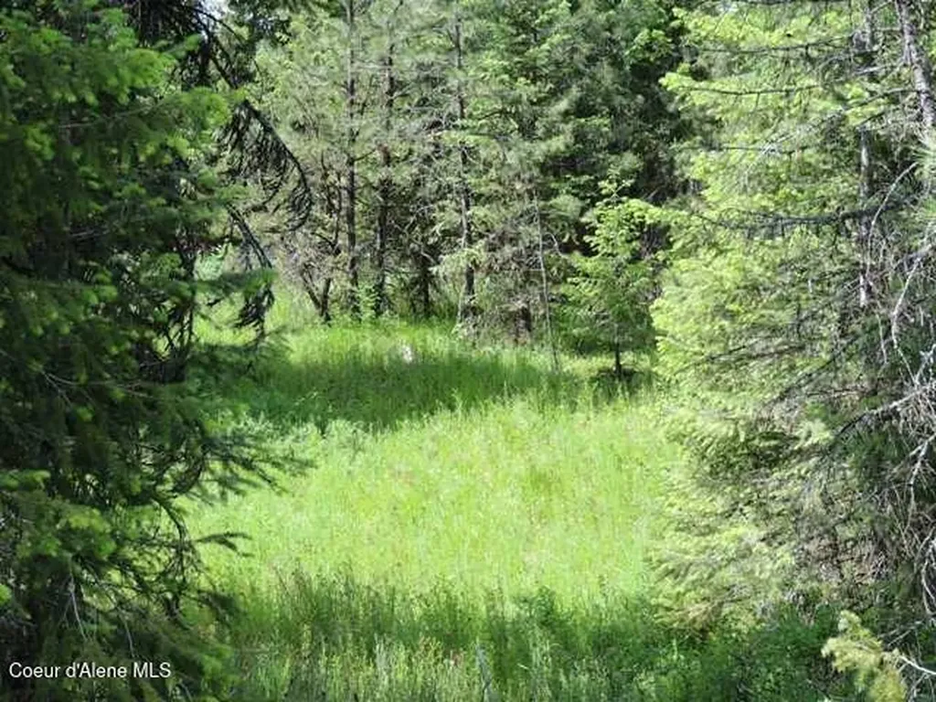 Nka Antler Lane Spirit Lake ID 83869