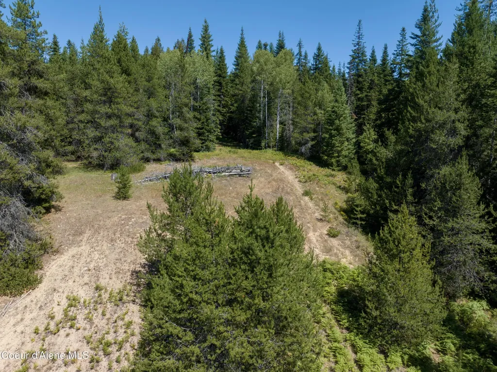 20 Acres Lamb Creek Road Priest Lake ID 83856