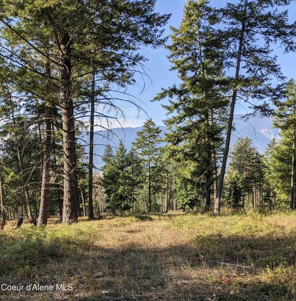 Nna 10 Ac. New Chisholm Way Bonners Ferry ID 83805