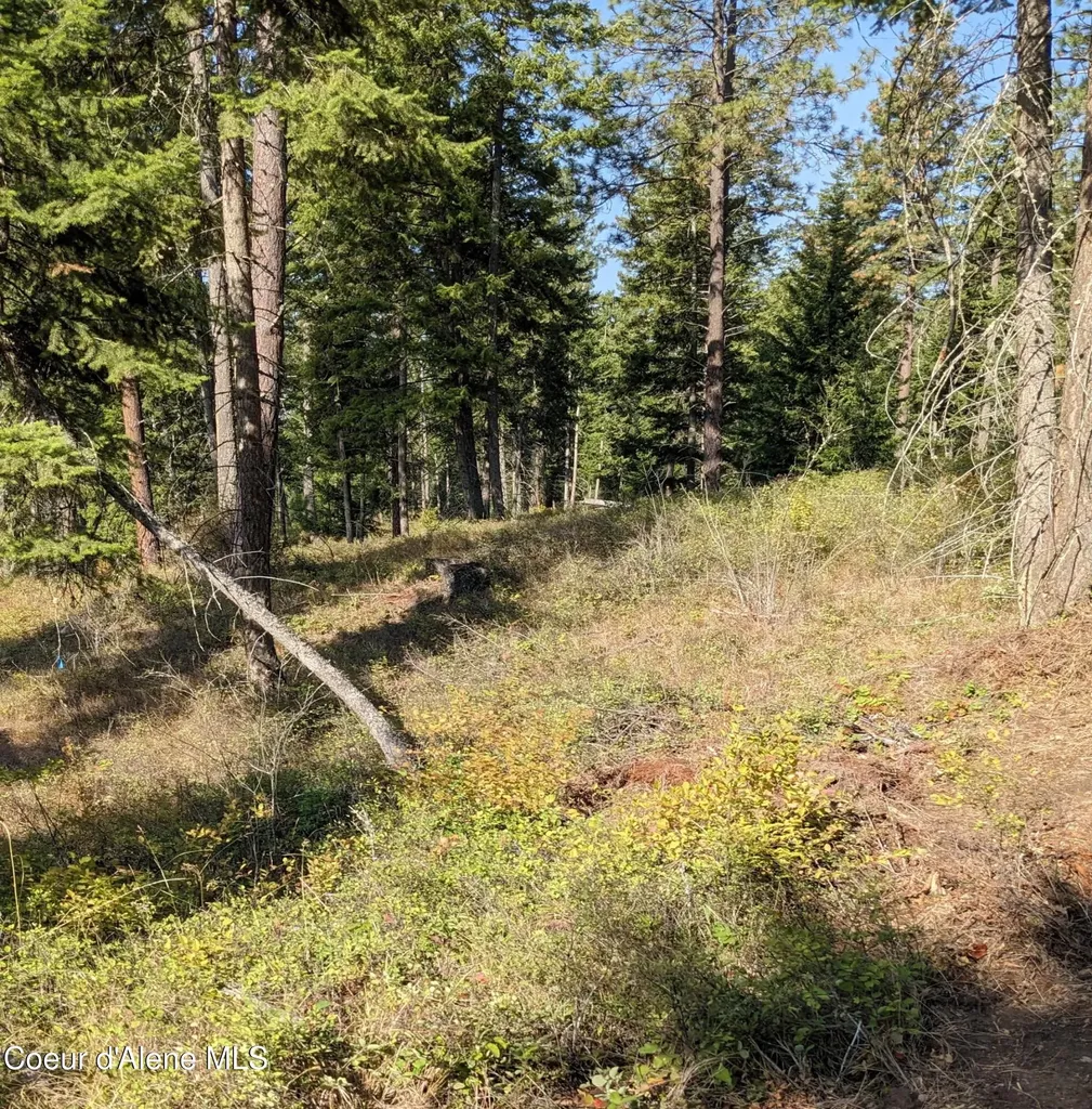 Nna 10 Ac. New Chisholm Way Bonners Ferry ID 83805