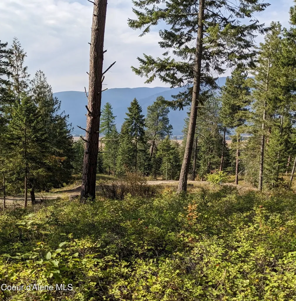 Nna 10 Ac. New Chisholm Way Bonners Ferry ID 83805
