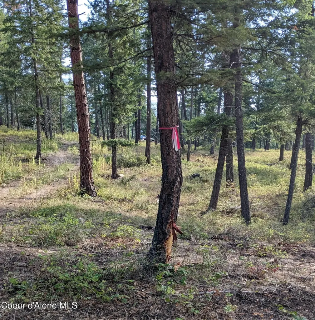 Nna 10 Ac. New Chisholm Way Bonners Ferry ID 83805