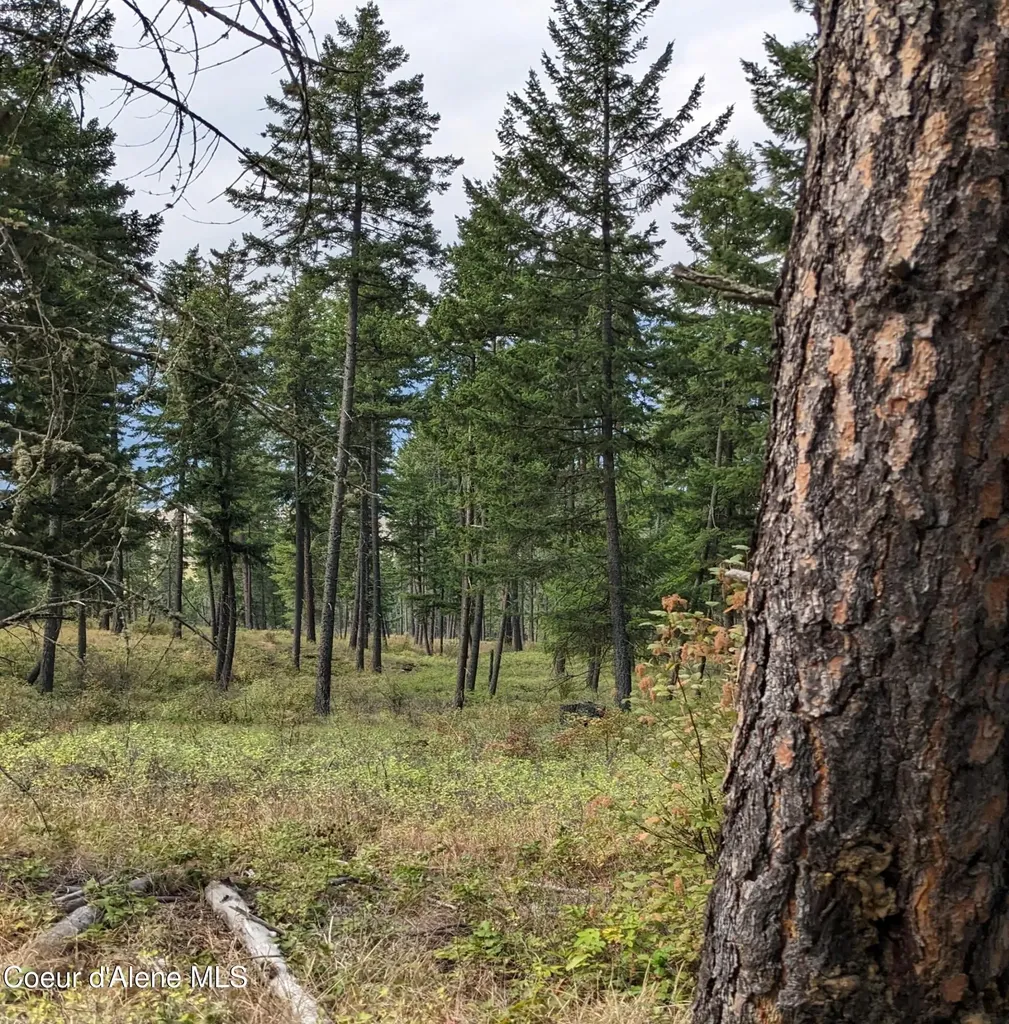 Nna 10 Ac. New Chisholm Way Bonners Ferry ID 83805