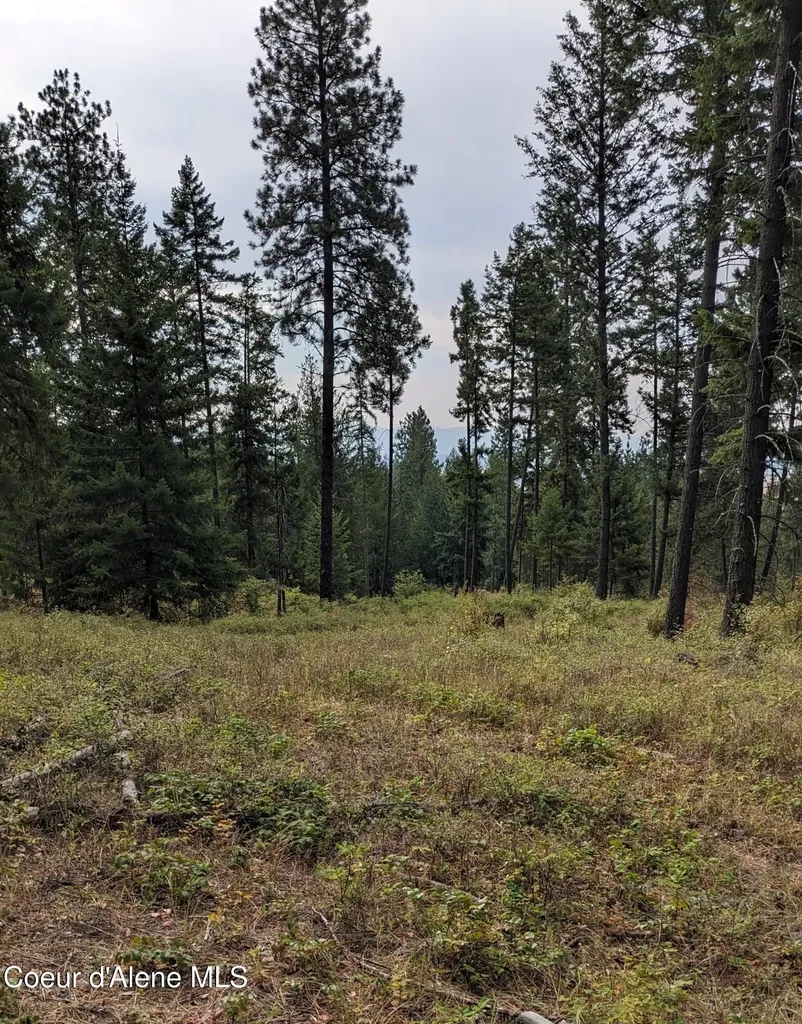 Nna 10 Ac. New Chisholm Way Bonners Ferry ID 83805