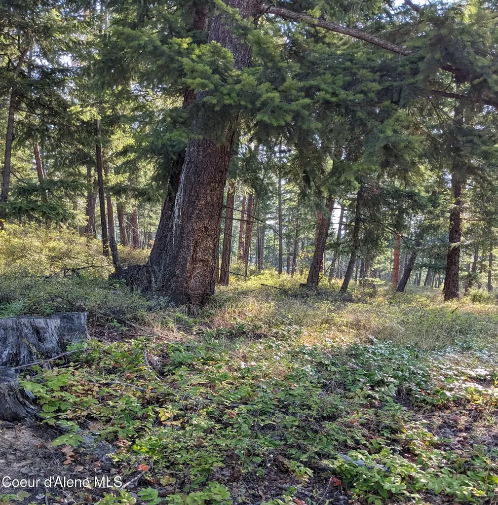 Nna 10 Ac. New Chisholm Way Bonners Ferry ID 83805