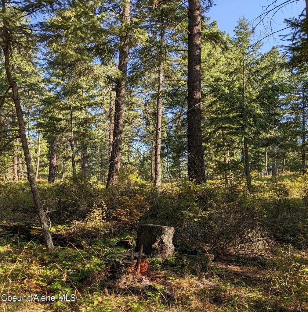 Nna 10 Ac. New Chisholm Way Bonners Ferry ID 83805