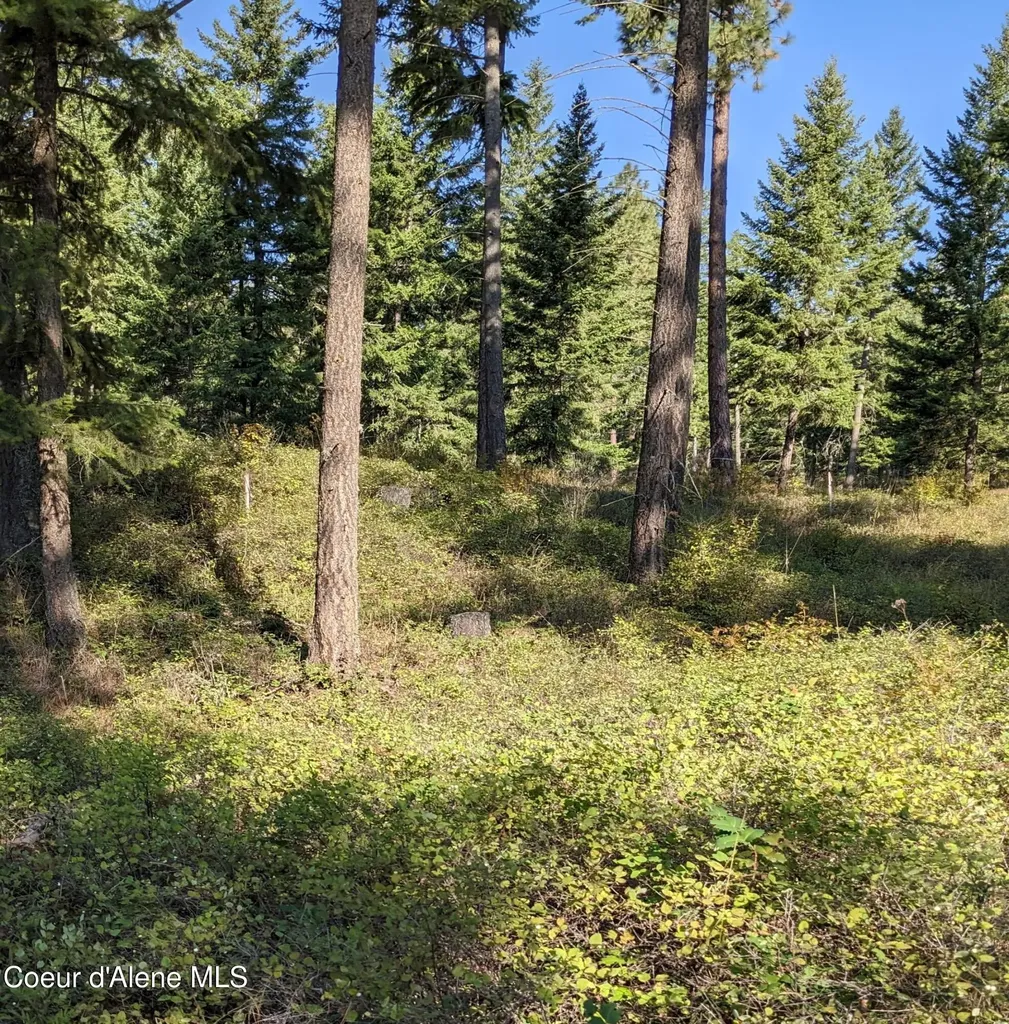 Nna 10 Ac. New Chisholm Way Bonners Ferry ID 83805