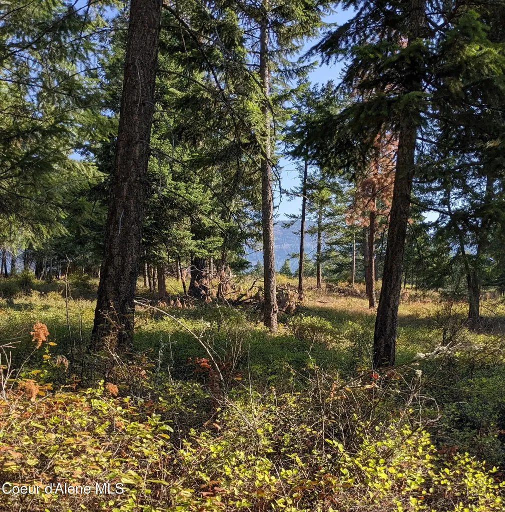 Nna 10 Ac. New Chisholm Way Bonners Ferry ID 83805