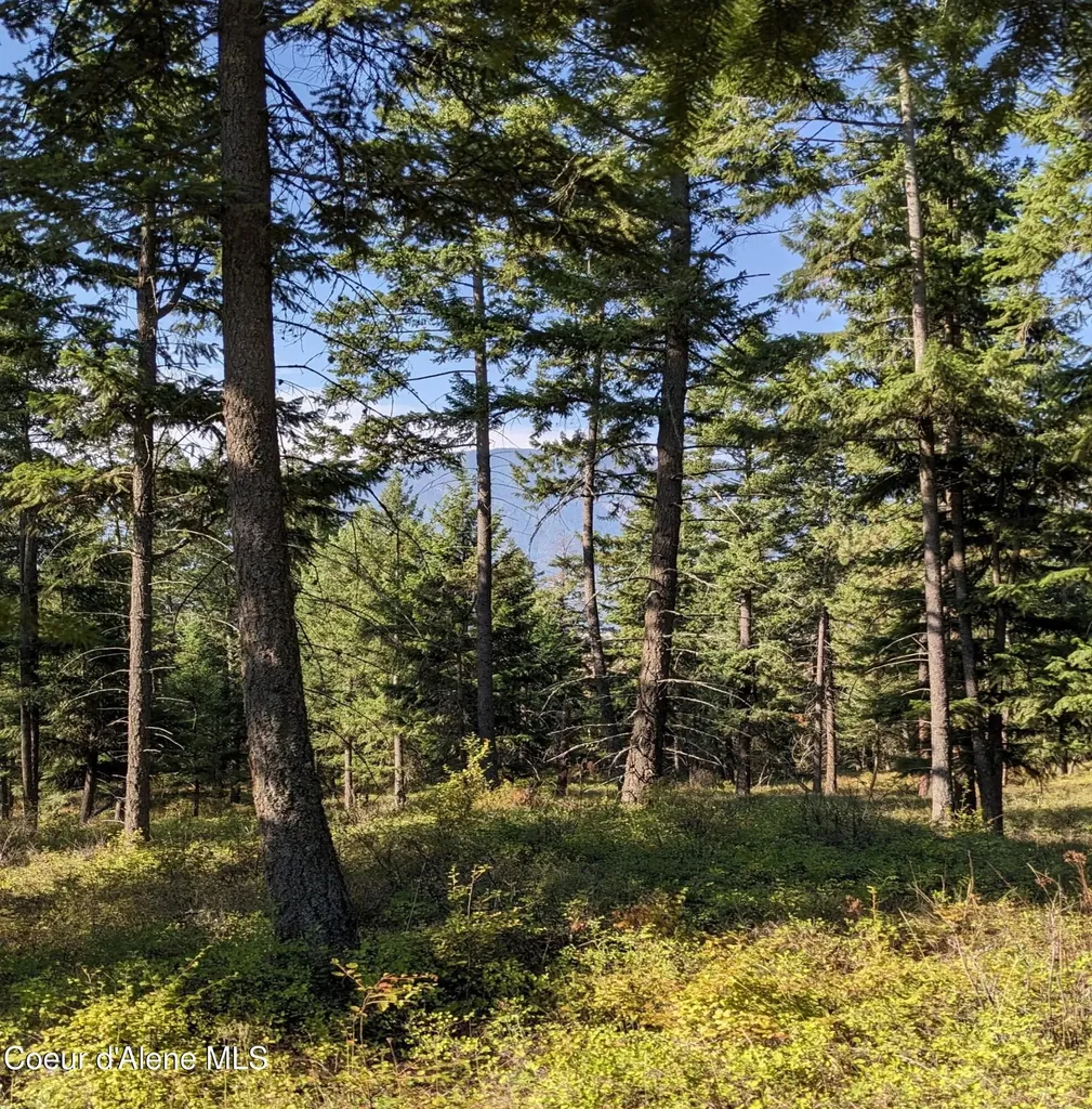Nna 10 Ac. New Chisholm Way Bonners Ferry ID 83805